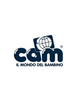 Cam
